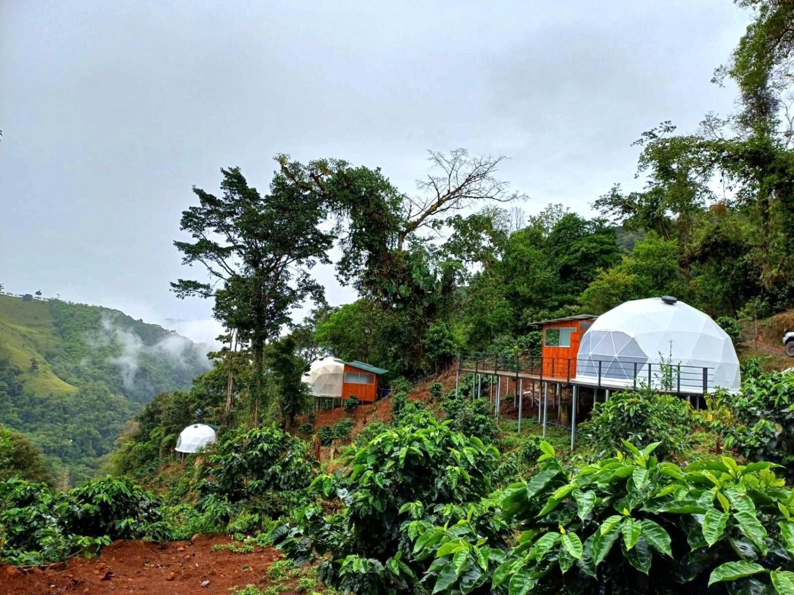 Hotel Rivel - Restaurant & Nature Retreat 图里亚尔瓦 外观 照片