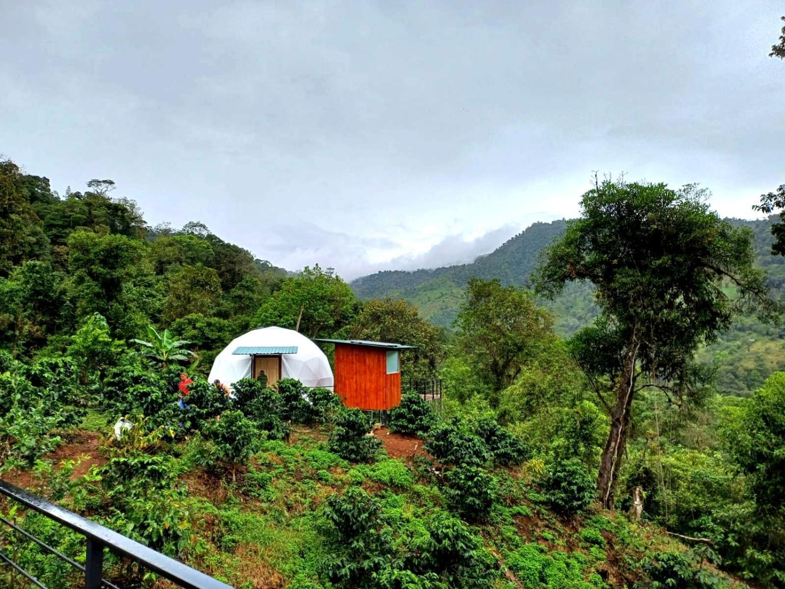Hotel Rivel - Restaurant & Nature Retreat 图里亚尔瓦 外观 照片