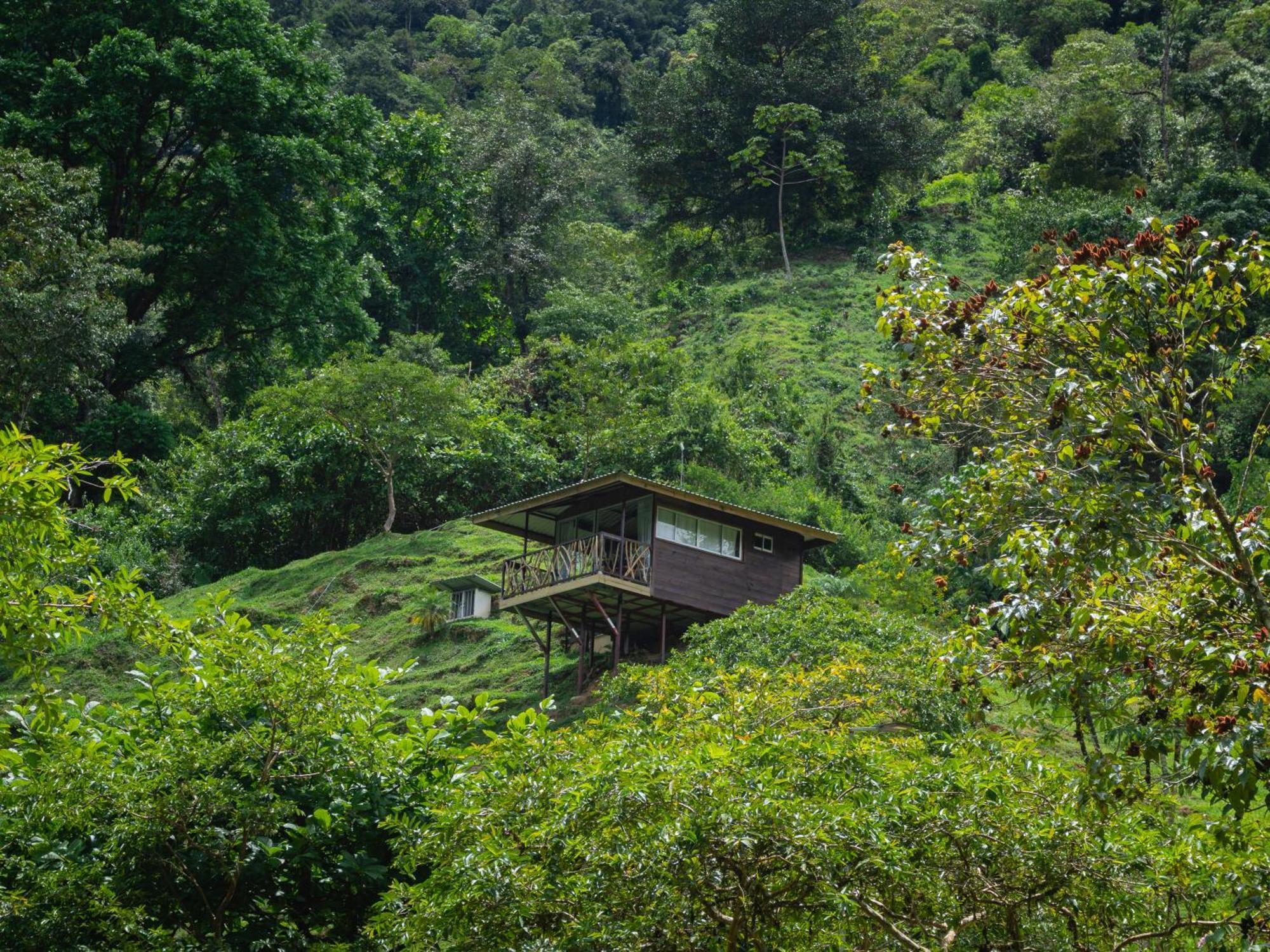 Hotel Rivel - Restaurant & Nature Retreat 图里亚尔瓦 外观 照片