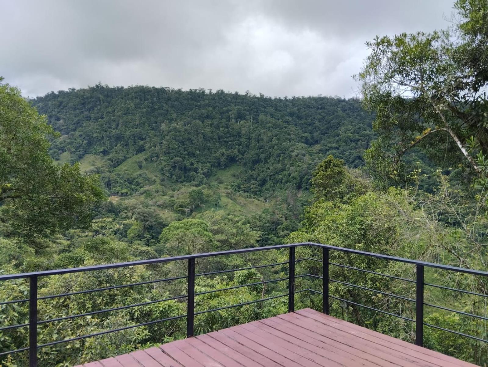 Hotel Rivel - Restaurant & Nature Retreat 图里亚尔瓦 外观 照片